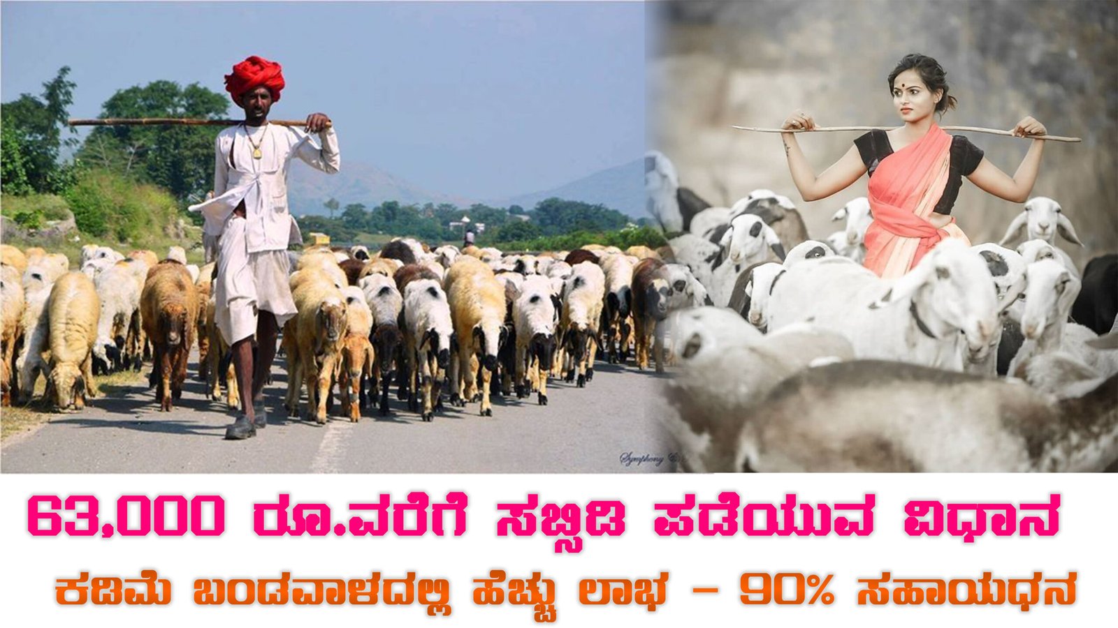 Karnataka Sheep Scheme